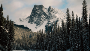 furnace services
